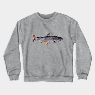 Fishes in Stitches 013 Trout Crewneck Sweatshirt